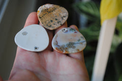 35mm trillion Ocean Jasper cabochons (Lot aaa)