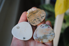 35mm trillion Ocean Jasper cabochons (Lot aaa)