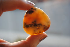 35mm trillion Ocean Jasper cabochons (Lot aaa)