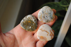 35mm trillion Ocean Jasper cabochons (Lot bbb)