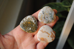 35mm trillion Ocean Jasper cabochons (Lot bbb)
