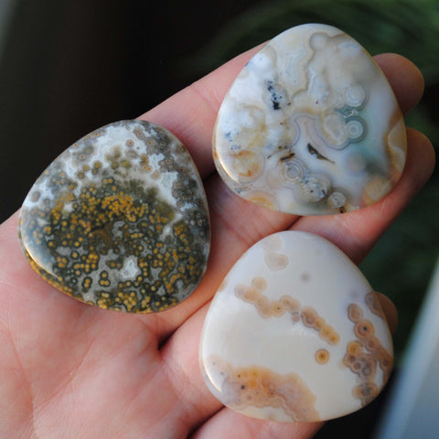 35mm trillion Ocean Jasper cabochons (Lot bbb)