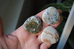 35mm trillion Ocean Jasper cabochons (Lot bbb)