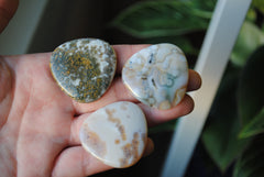 35mm trillion Ocean Jasper cabochons (Lot bbb)
