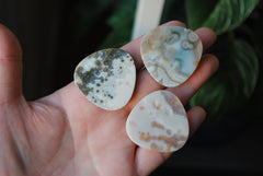 35mm trillion Ocean Jasper cabochons (Lot bbb)