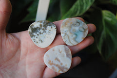 35mm trillion Ocean Jasper cabochons (Lot bbb)