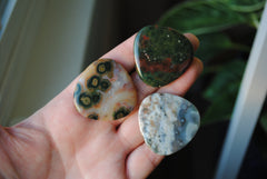 35mm trillion Ocean Jasper cabochons (Lot ccc)