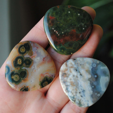 35mm trillion Ocean Jasper cabochons (Lot ccc)