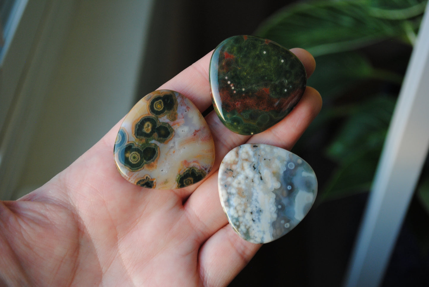 35mm trillion Ocean Jasper cabochons (Lot ccc)