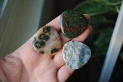 35mm trillion Ocean Jasper cabochons (Lot ccc)