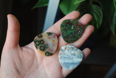 35mm trillion Ocean Jasper cabochons (Lot ccc)