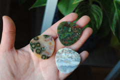 35mm trillion Ocean Jasper cabochons (Lot ccc)