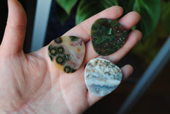 35mm trillion Ocean Jasper cabochons (Lot ccc)