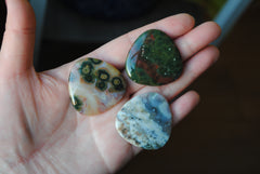 35mm trillion Ocean Jasper cabochons (Lot ccc)