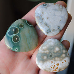 35mm trillion Ocean Jasper cabochons (Lot ddd)