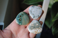 35mm trillion Ocean Jasper cabochons (Lot ddd)