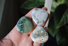 35mm trillion Ocean Jasper cabochons (Lot ddd)