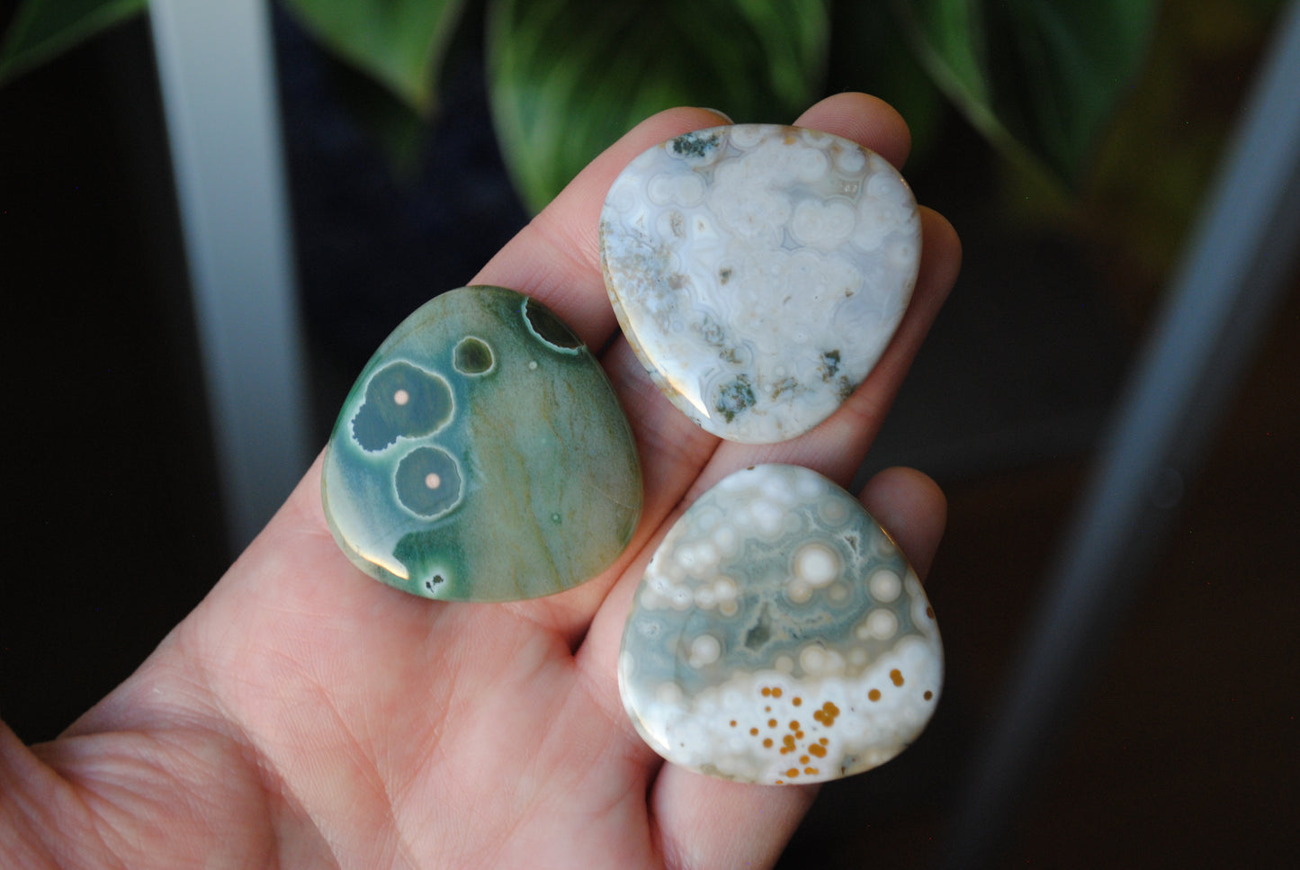 35mm trillion Ocean Jasper cabochons (Lot ddd)