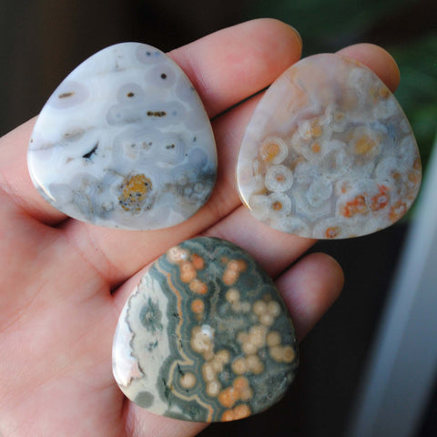 35mm trillion Ocean Jasper cabochons (Lot eee)