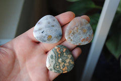 35mm trillion Ocean Jasper cabochons (Lot eee)