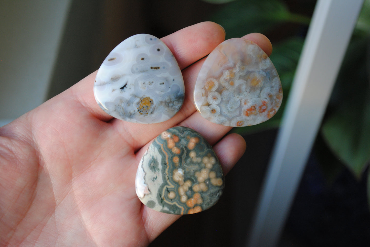 35mm trillion Ocean Jasper cabochons (Lot eee)