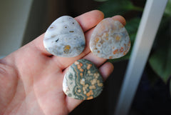 35mm trillion Ocean Jasper cabochons (Lot eee)