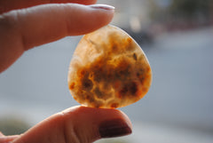 35mm trillion Ocean Jasper cabochons (Lot eee)