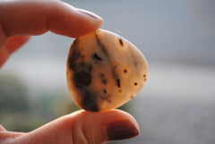 35mm trillion Ocean Jasper cabochons (Lot eee)