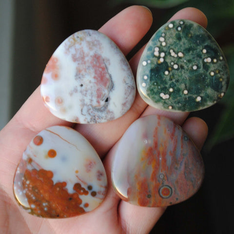 35mm trillion Ocean Jasper cabochons (Lot fff)
