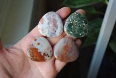 35mm trillion Ocean Jasper cabochons (Lot fff)