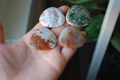 35mm trillion Ocean Jasper cabochons (Lot fff)