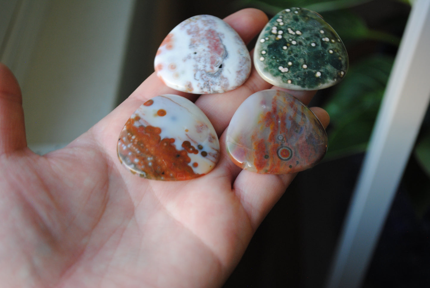 35mm trillion Ocean Jasper cabochons (Lot fff)