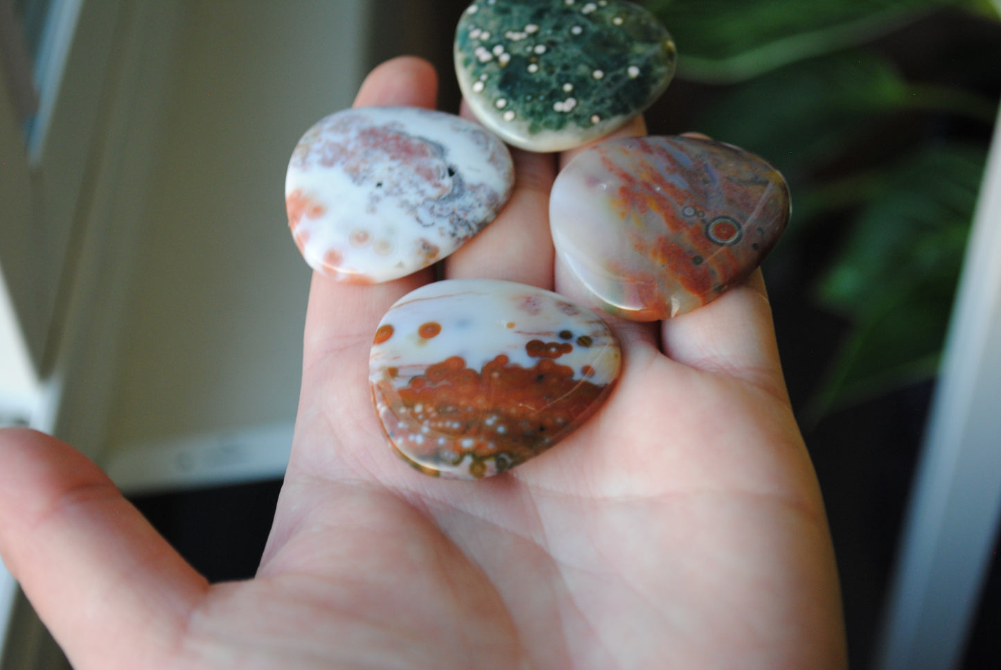 35mm trillion Ocean Jasper cabochons (Lot fff)