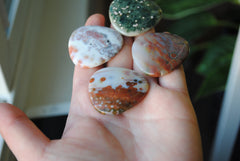35mm trillion Ocean Jasper cabochons (Lot fff)