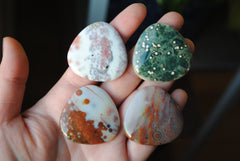 35mm trillion Ocean Jasper cabochons (Lot fff)