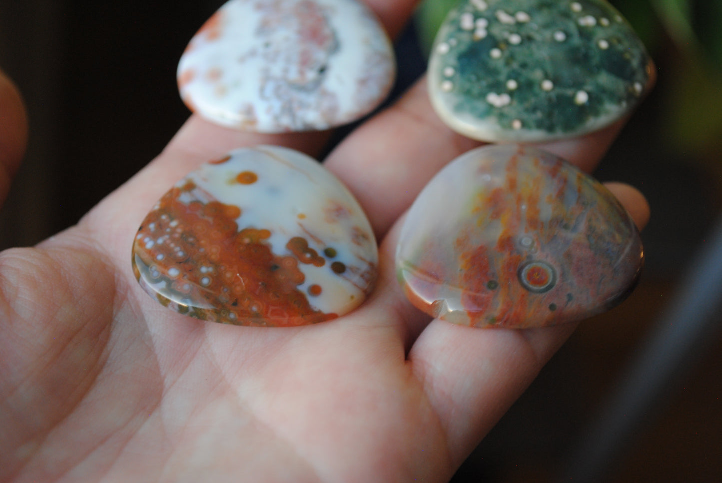 35mm trillion Ocean Jasper cabochons (Lot fff)