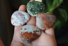 35mm trillion Ocean Jasper cabochons (Lot fff)