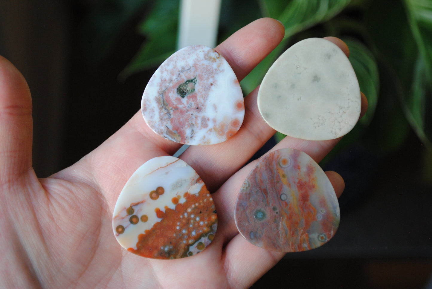 35mm trillion Ocean Jasper cabochons (Lot fff)