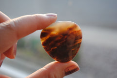 35mm trillion Ocean Jasper cabochons (Lot fff)