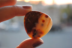 35mm trillion Ocean Jasper cabochons (Lot fff)