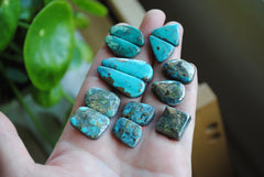 Campitos turquoise cabochons