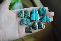 Campitos turquoise cabochons