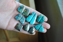 Campitos turquoise cabochons