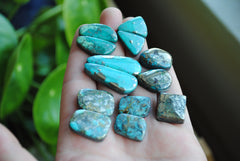 Campitos turquoise cabochons