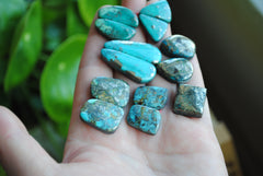 Campitos turquoise cabochons