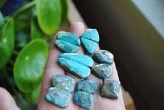 Campitos turquoise cabochons