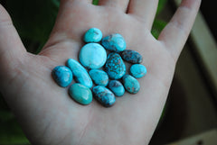 Bisbee turquoise cabochons