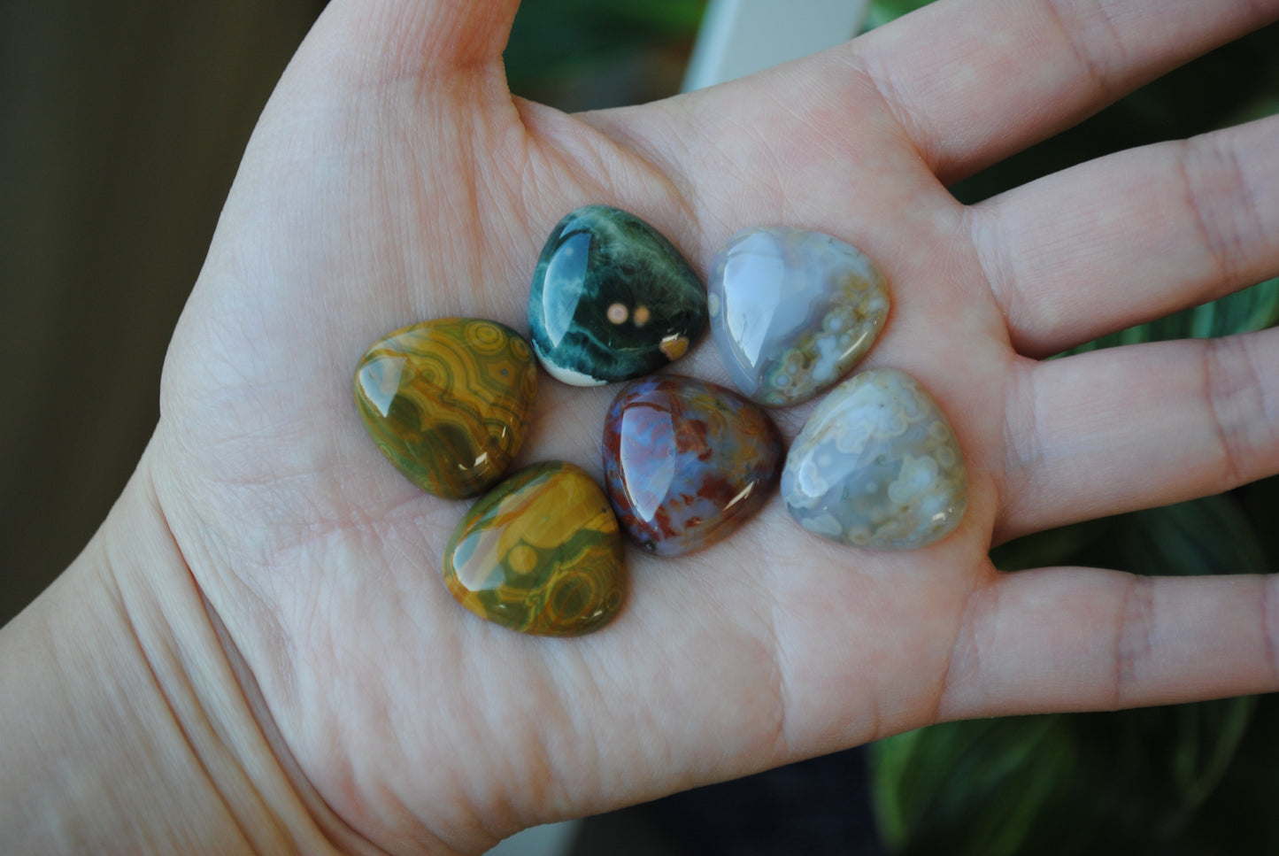 20mm trillion Ocean Jasper cabochons