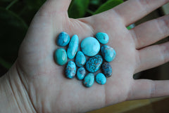 Bisbee turquoise cabochons