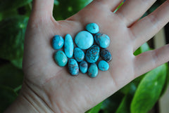 Bisbee turquoise cabochons